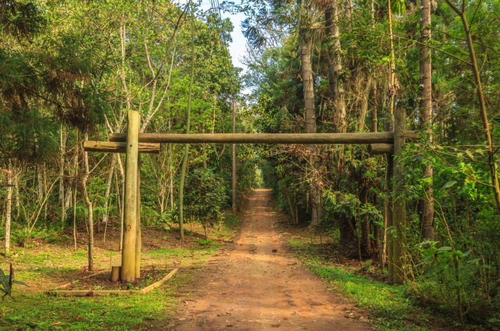 parque-borore